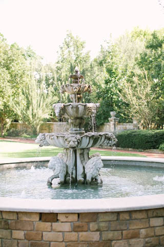 Clark Gardens Botanical Park